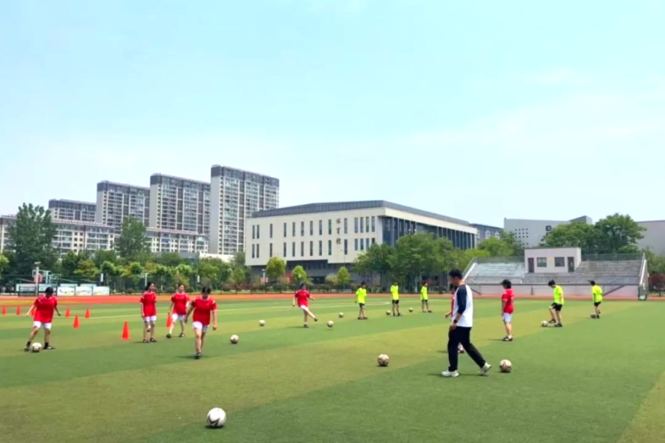 成为展示城